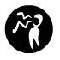 webicon